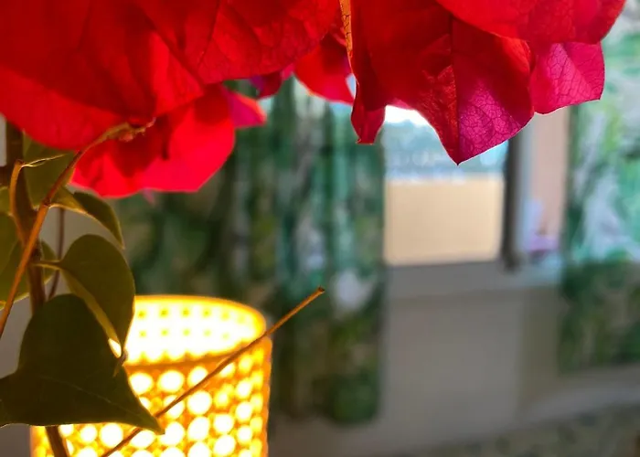 El Rincon Del Cangrejo Corralejo