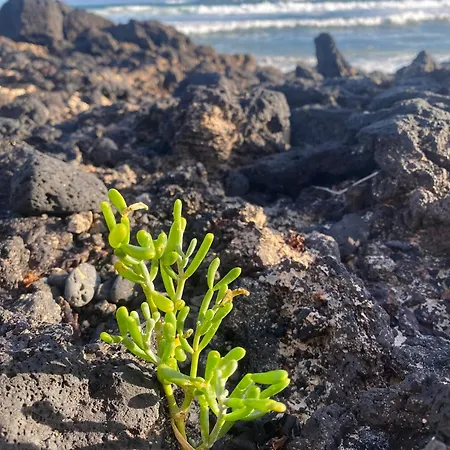 Apartamento El Rincon Del Cangrejo