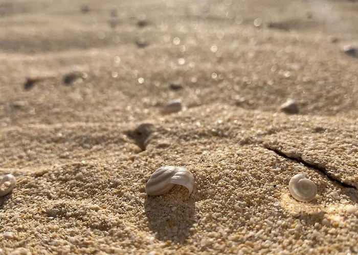 El Rincon Del Cangrejo * Corralejo
