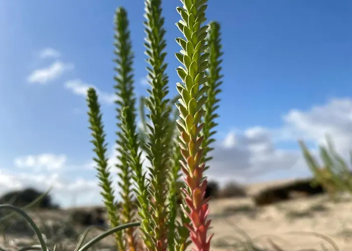 Apartament El Rincon Del Cangrejo *