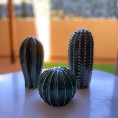 El Rincon Del Cangrejo * Коральео