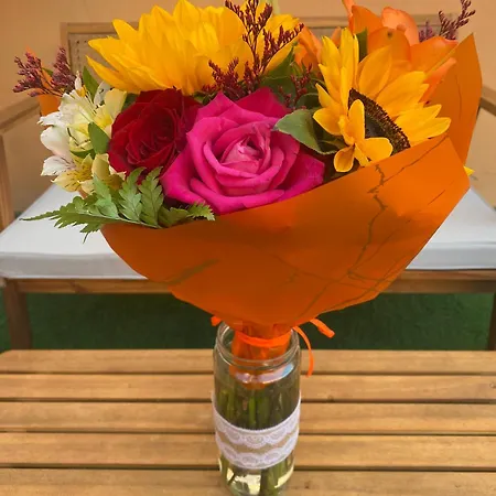 El Rincon Del Cangrejo Апартаменты Коральео