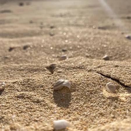 El Rincon Del Cangrejo * Corralejo