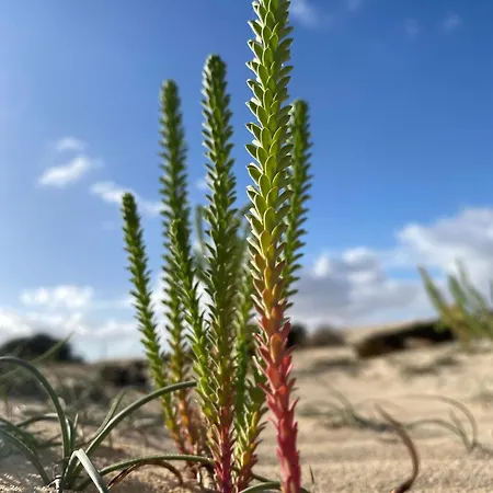 Appartement El Rincon Del Cangrejo *