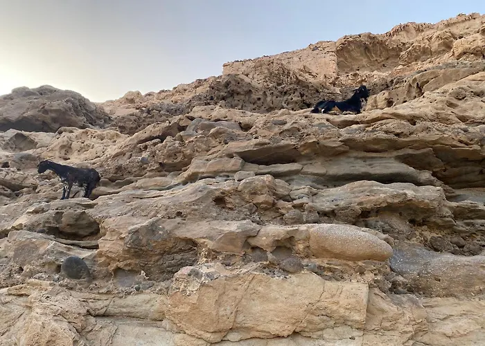 Апартаменты El Rincon Del Cangrejo *