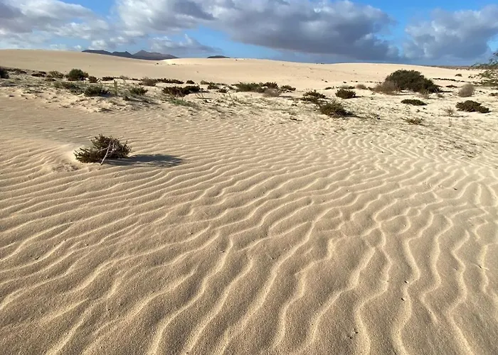 El Rincon Del Cangrejo Апартаменты Коральео