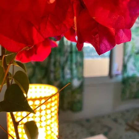 El Rincon Del Cangrejo コラレホ